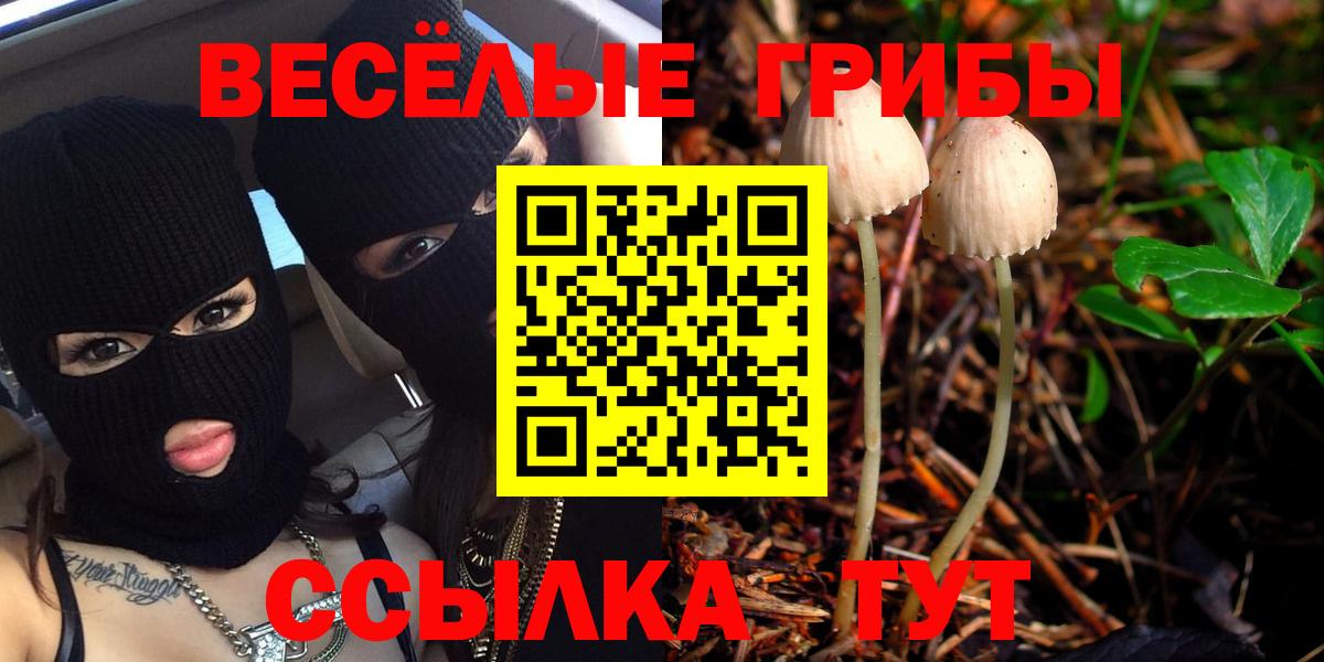 Псилоцибиновые грибы GOLDEN TEACHER  Псилоцибиновые грибы Psilocybine cubensis  Партизанск  Вход с VPN 