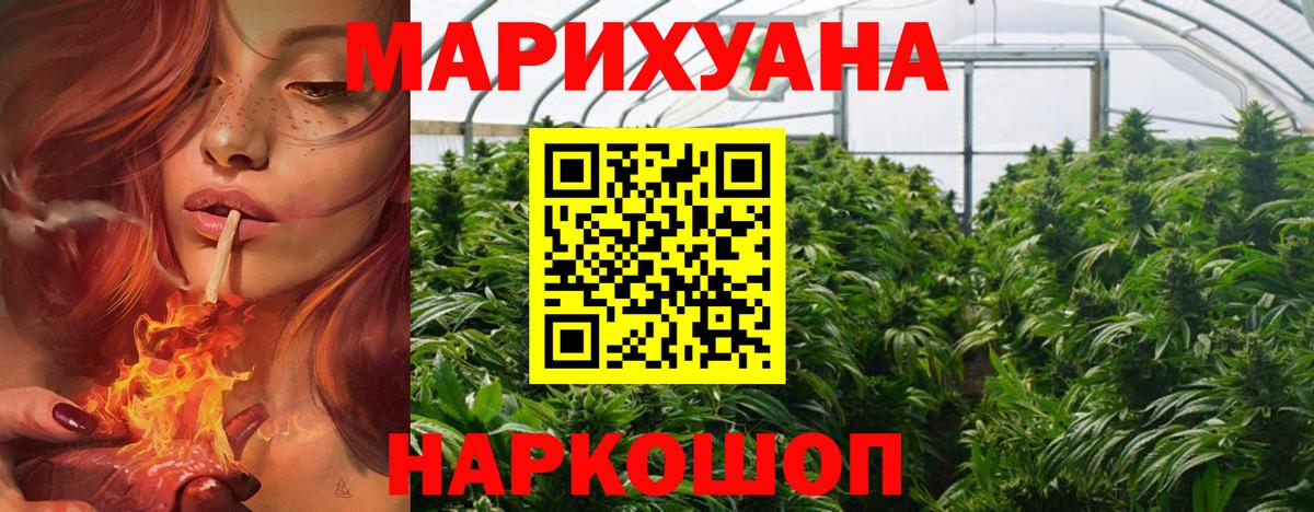 Бошки марихуана Amnesia Партизанск